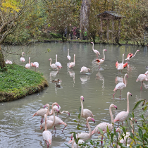 zoo9