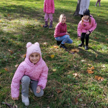 Obrázek WhatsApp, 2025-11-14 v 12.39.54_ac6d087c