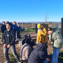 Obrázek WhatsApp, 2025-11-20 v 13.44.41_6286a1a0