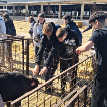 WhatsApp Image 2026-04-29 at 09.50.53 (3)